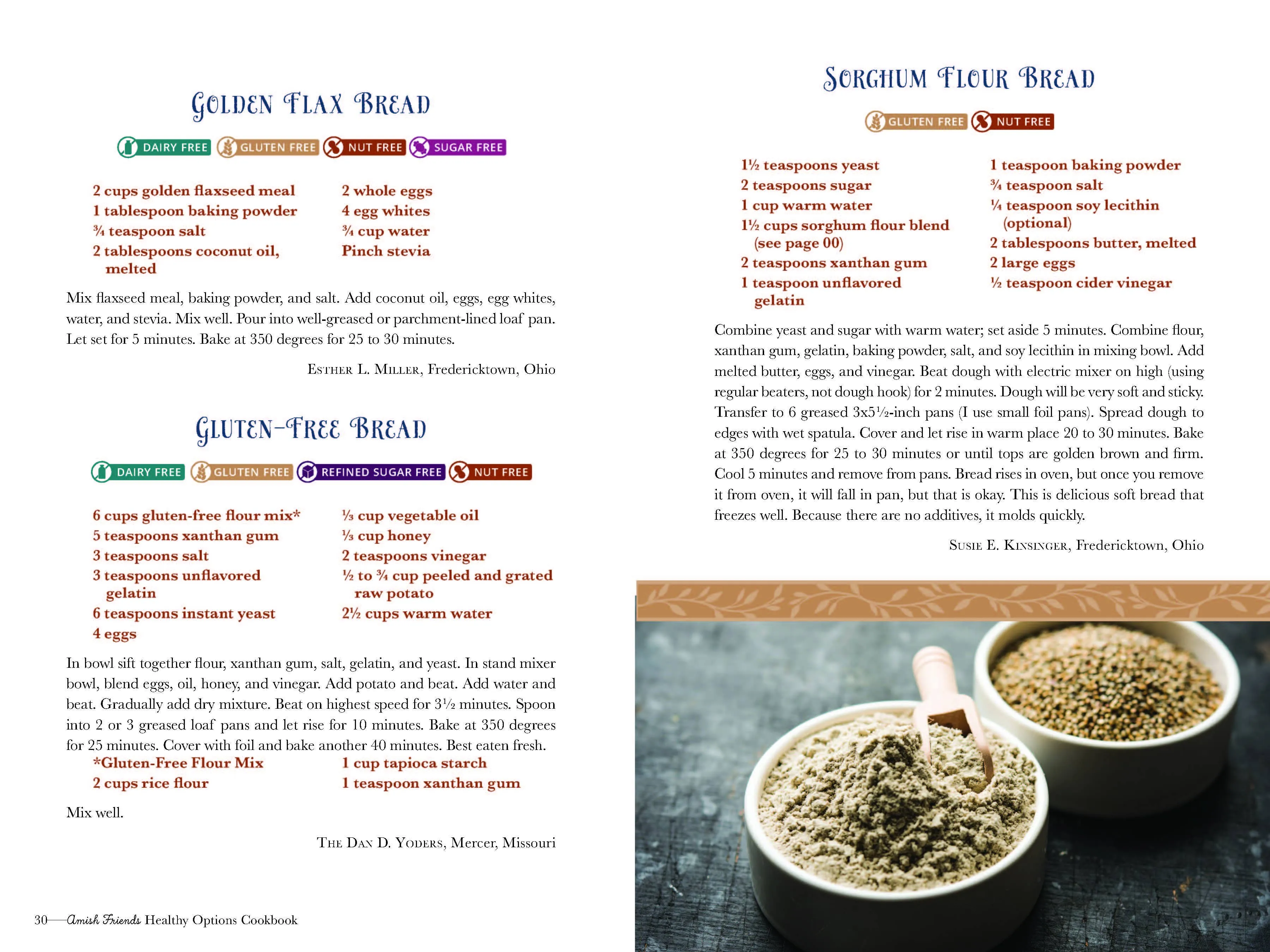W.E.B Amish Friends Healthy Options Cookbook
